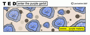 purplegerbil_strip_297